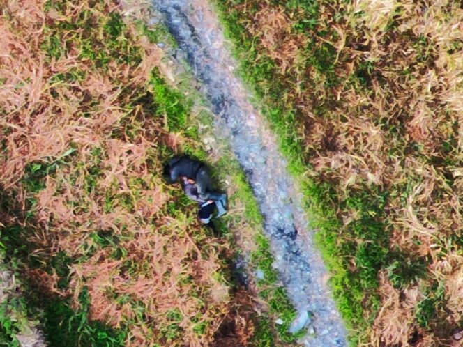 
					KKB di Puncak Kembali Berulah, Dua Tukang Ojek Tewas Ditembak