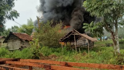 Aksi Brutal KKB di Distrik Kolf Braza: Warga Ditembak, Rumah Dibakar