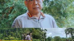 Dua Korban Tewas dalam Penyerangan di Pos Pengamanan PT Kristal Nabire, Satgas Ops Damai Cartenz Lakukan Penyelidikan Mendalam