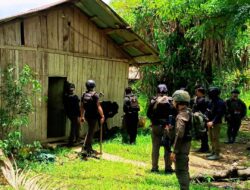 Komandan Kompi Kimbusa Kodap XVI Yahukimo Ditangkap, Satgas Damai Cartenz Tegaskan Komitmen Penegakan Hukum