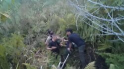 Satgas Damai Cartenz Tangkap Narapidana Kabur dari Lapas Wamena di Yahukimo