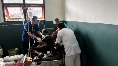 Sempat Melawan Petugas, Satu Anggota KKB Puncak Jaya Berhasil Dilumpuhkan Satgas Ops Damai Cartenz