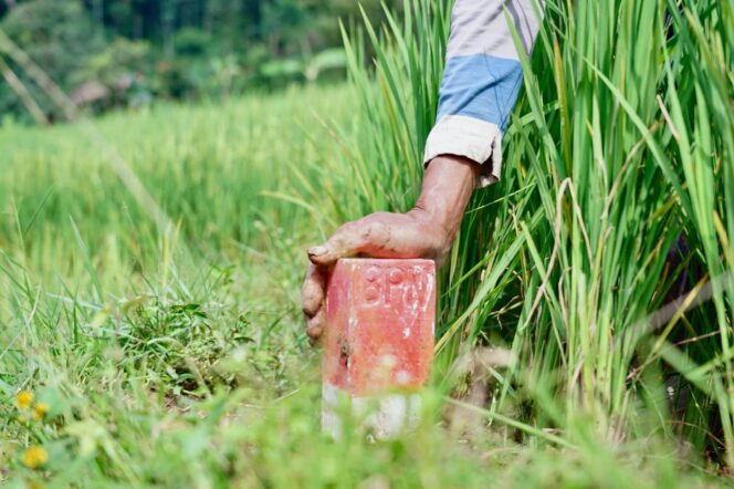 
					Pasang Patok, Cara Sederhana Cegah Sengketa Tanah dengan Tetangga