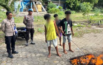 1,18 Kilogram Ganja Dimusnahkan, Sat Narkoba Polresta Jayapura Bongkar Dua Kasus