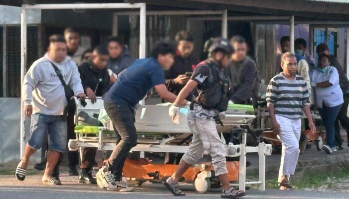 Berangkat Membawa Bantuan, Tiga ASN Jayawijaya Tak Pernah Pulang: Dokter Hewan Turut Jadi Korban Penembakan di Muliama