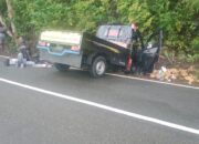 Kecelakaan Maut di Pintu Angin Jayapura, Bocah 8 Tahun Meninggal Dunia